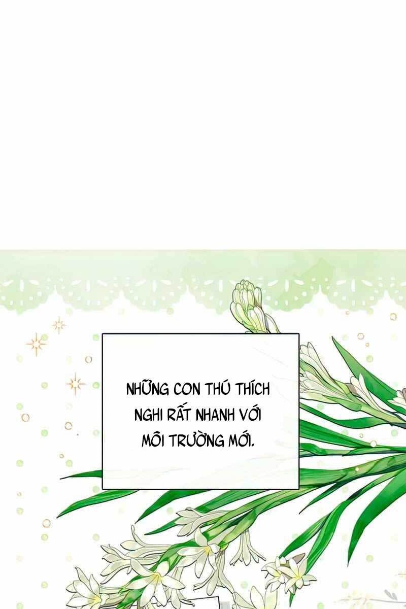 đọc truyện Những Ranker Cấp S Mà Tôi Nuôi Dưỡng Chương 57 ảnh 4 tại Thiên Thai Truyện