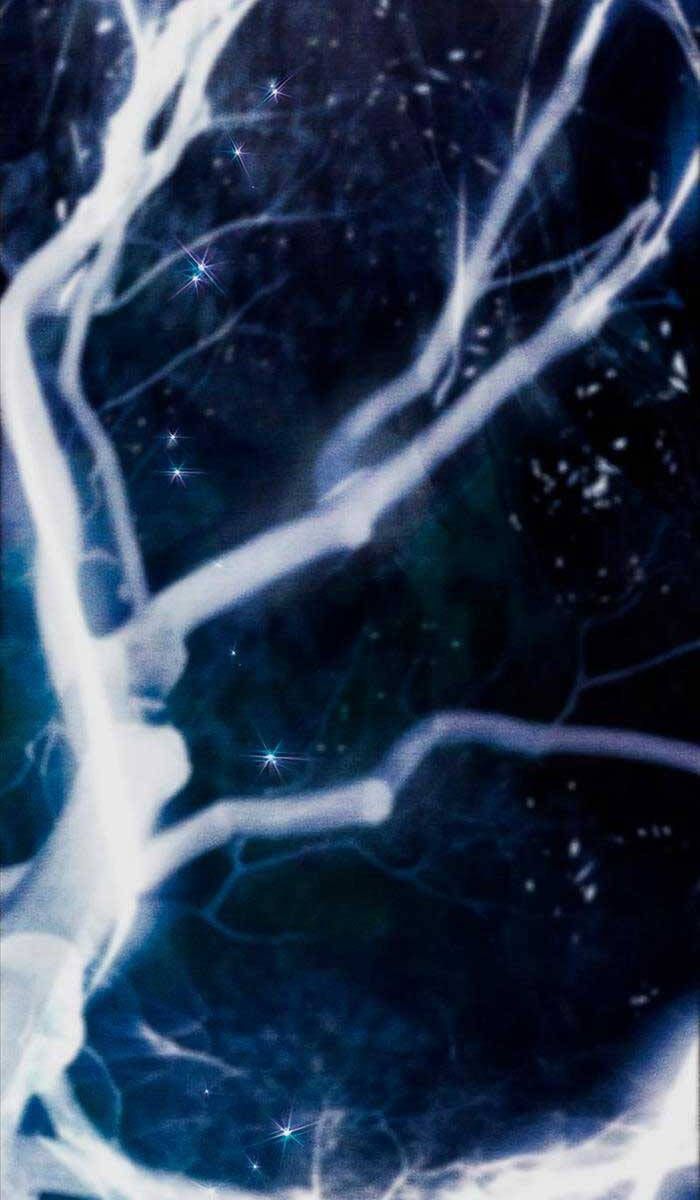 đọc truyện Những Ranker Cấp S Mà Tôi Nuôi Dưỡng Chương 92 ảnh 62 tại Thiên Thai Truyện