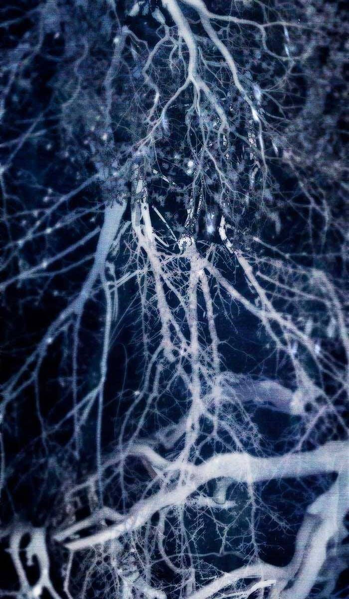 đọc truyện Những Ranker Cấp S Mà Tôi Nuôi Dưỡng Chương 92 ảnh 69 tại Thiên Thai Truyện