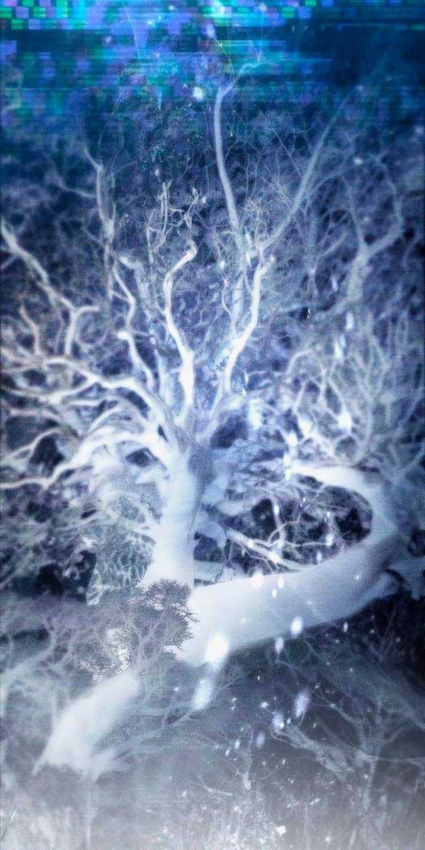 đọc truyện Những Ranker Cấp S Mà Tôi Nuôi Dưỡng Chương 95 ảnh 80 tại Thiên Thai Truyện