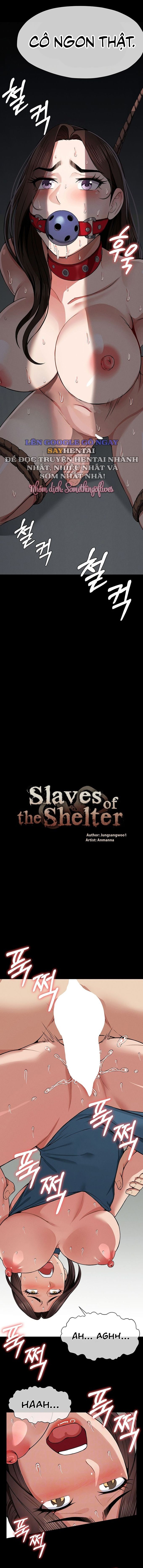 đọc truyện Nô Lệ Hầm Trú Ẩn Chương 15 ảnh 3 tại Thiên Thai Truyện