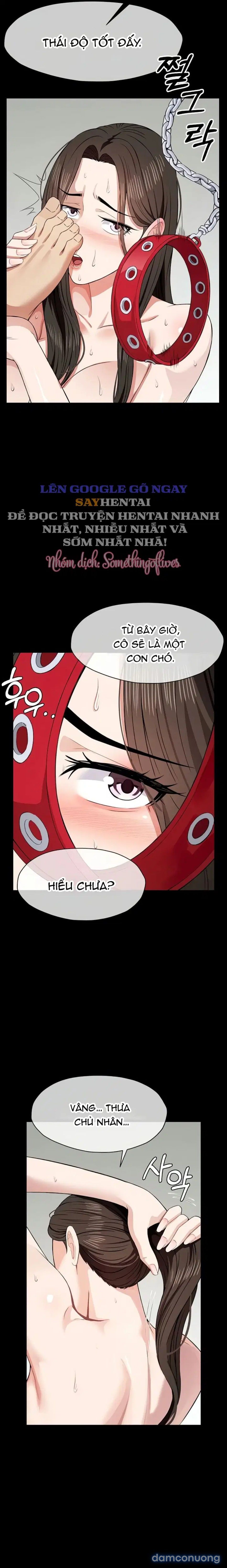 đọc truyện Nô Lệ Hầm Trú Ẩn Chương 32 ảnh 8 tại Thiên Thai Truyện