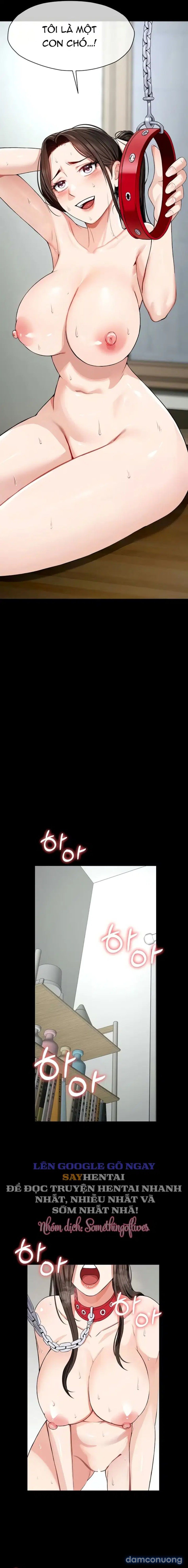 đọc truyện Nô Lệ Hầm Trú Ẩn Chương 32 ảnh 9 tại Thiên Thai Truyện