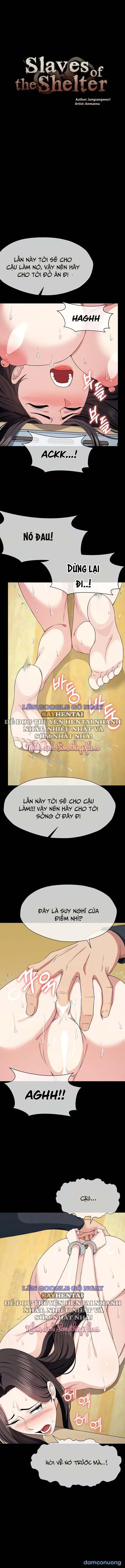 đọc truyện Nô Lệ Hầm Trú Ẩn Chương 64 ảnh 3 tại Thiên Thai Truyện