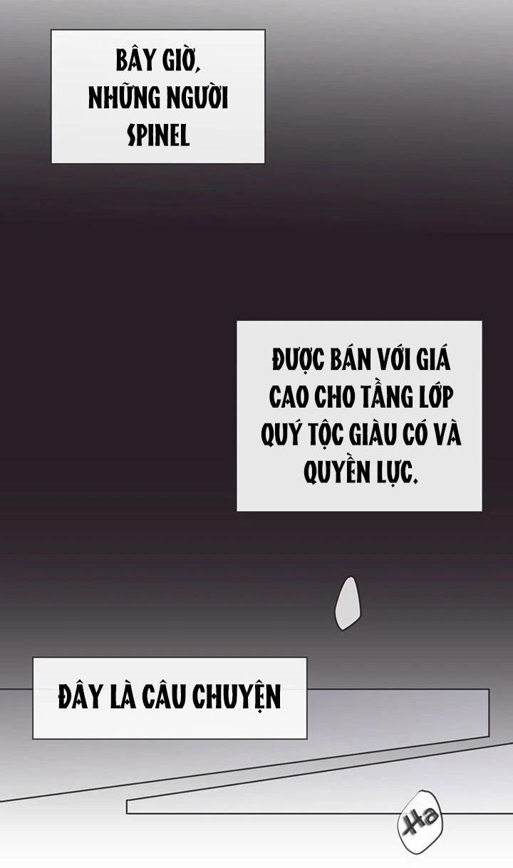 đọc truyện Nô Lệ Tình Thú Chương 0 ảnh 5 tại Giả Dược