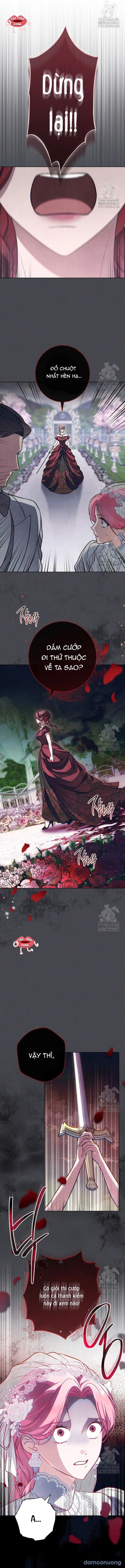 đọc truyện Nỗi Ám Ảnh Dành Cho Công Tước Phu Nhân Chương 17 ảnh 3 tại Thiên Thai Truyện