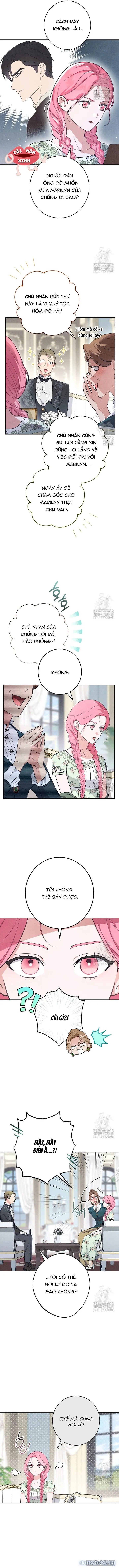 đọc truyện Nỗi Ám Ảnh Dành Cho Công Tước Phu Nhân Chương 2 ảnh 5 tại Thiên Thai Truyện