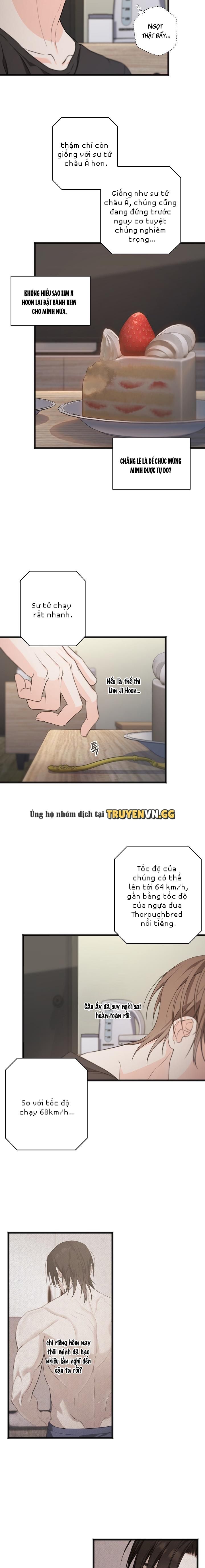 đọc truyện Nỗi Đau Tột Cùng Chương 30 ảnh 16 tại Giả Dược