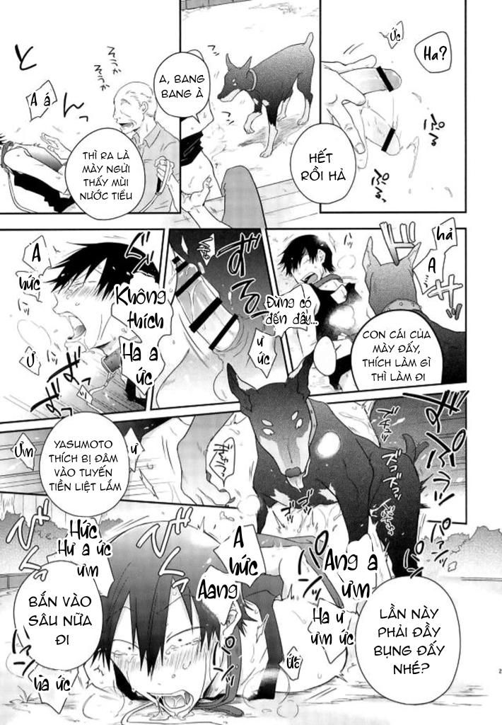 đọc truyện Nơi Husbando Của Bạn Bị Đụ Ná Thở Chương 139 ảnh 24 tại Giả Dược