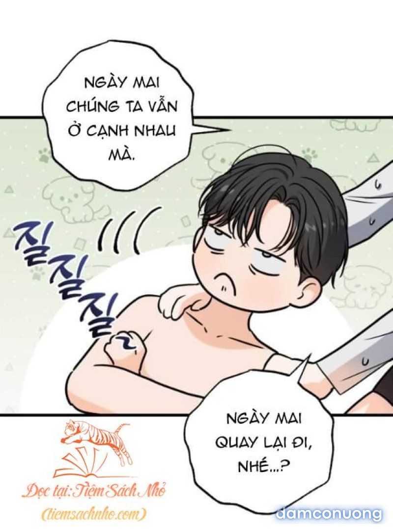 đọc truyện Nóng Lòng Muốn Giày Vò Em Chương 47 ảnh 43 tại Giả Dược