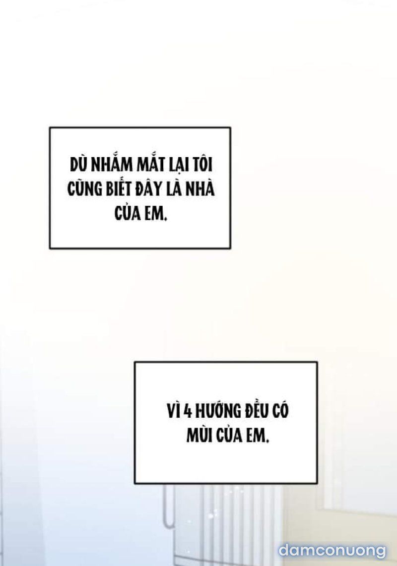 đọc truyện Nóng Lòng Muốn Giày Vò Em Chương 52 ảnh 21 tại Giả Dược
