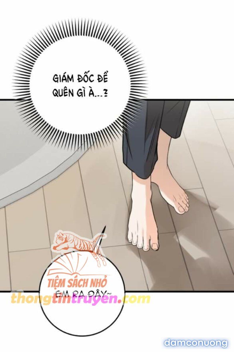 đọc truyện Nóng Lòng Muốn Giày Vò Em Chương 56 ảnh 87 tại Giả Dược