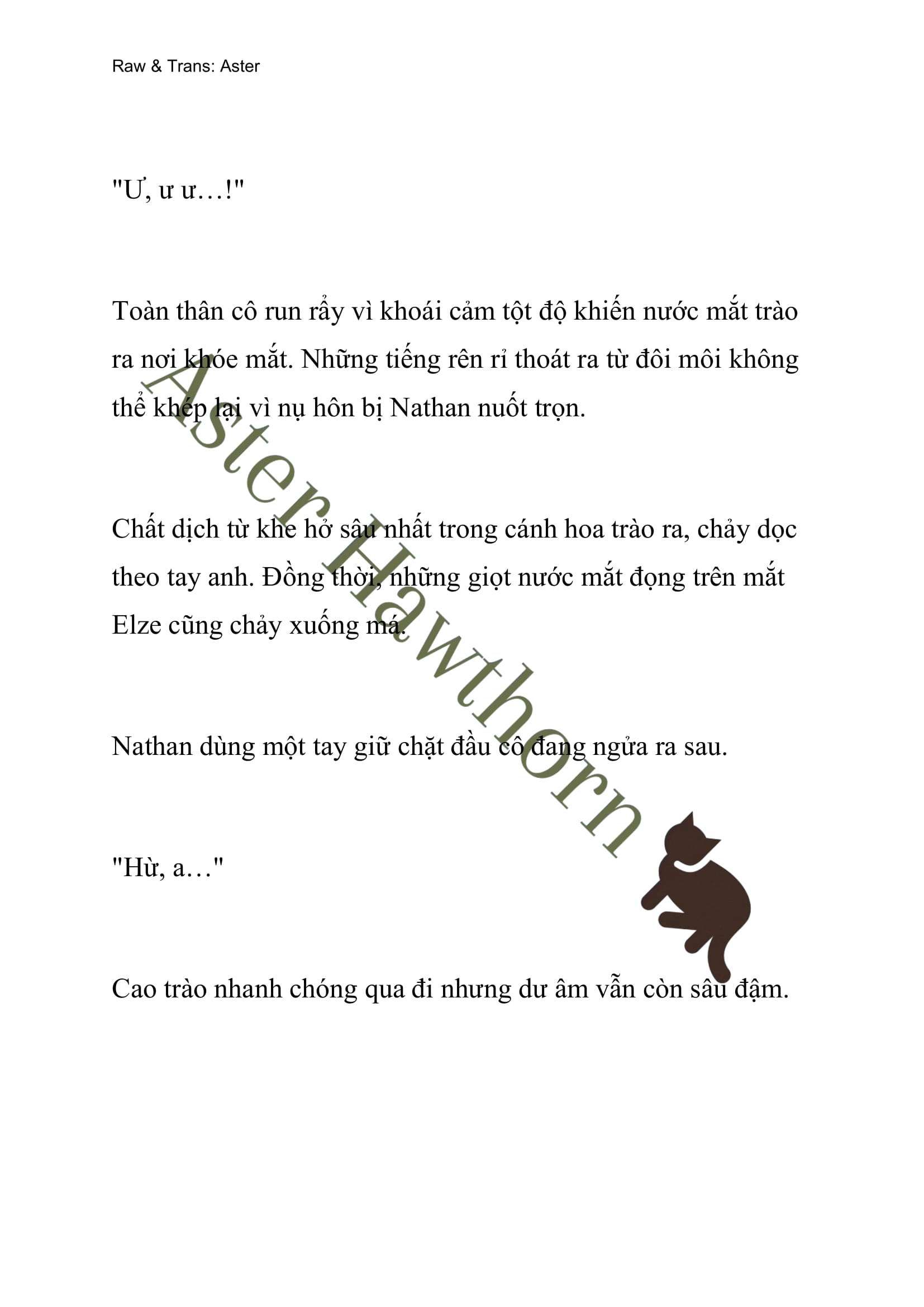 đọc truyện [novel] Anh Hùng Khao Khát Sự Sa Ngã Của Thánh Nữ Chương 11 ảnh 14 tại Thiên Thai Truyện