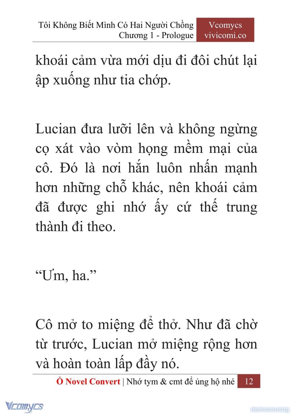đọc truyện [novel] Tôi Không Biết Mình Có Hai Người Chồng Chương 1 ảnh 15 tại Thiên Thai Truyện