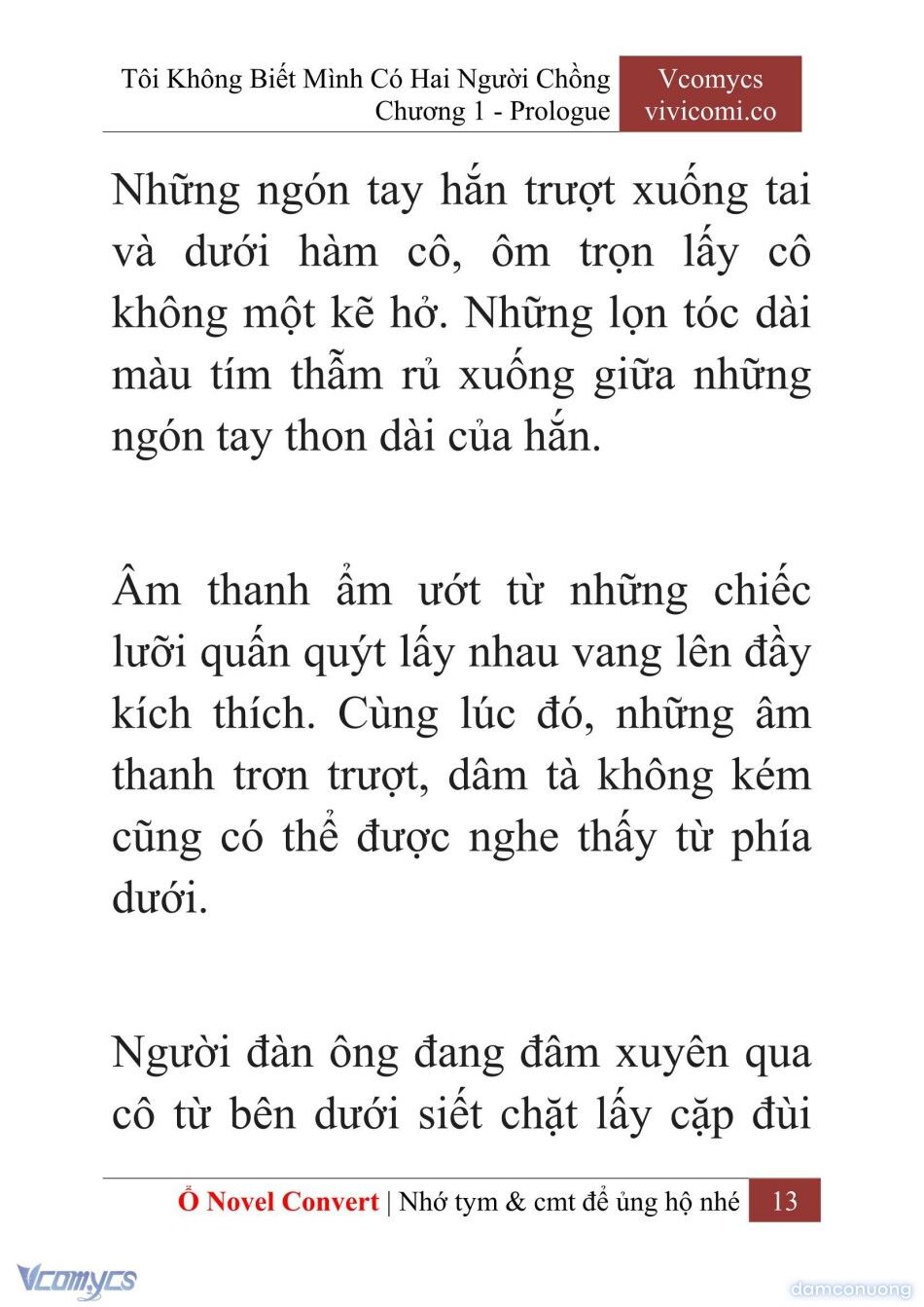 đọc truyện [novel] Tôi Không Biết Mình Có Hai Người Chồng Chương 1 ảnh 16 tại Thiên Thai Truyện