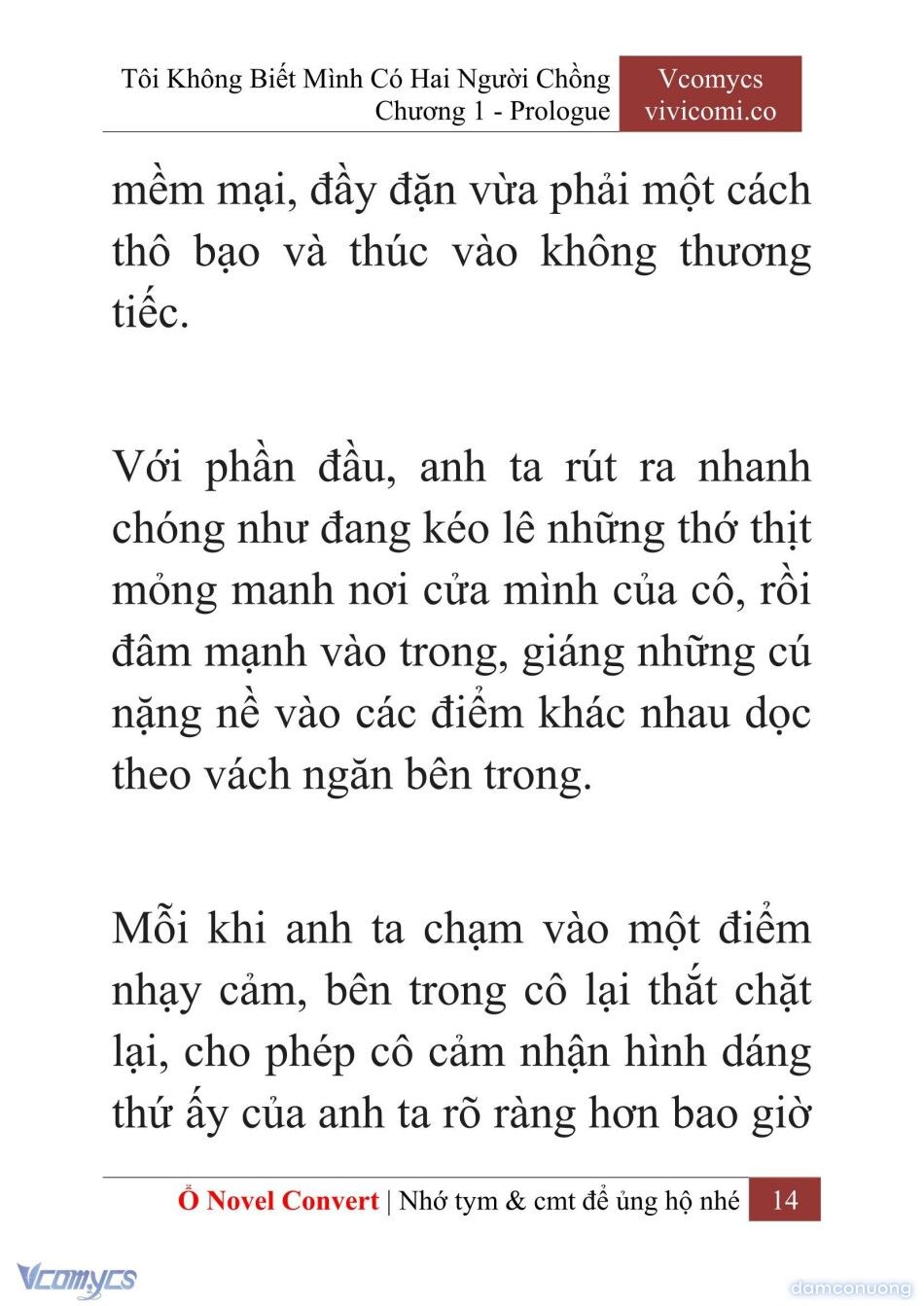 đọc truyện [novel] Tôi Không Biết Mình Có Hai Người Chồng Chương 1 ảnh 17 tại Thiên Thai Truyện