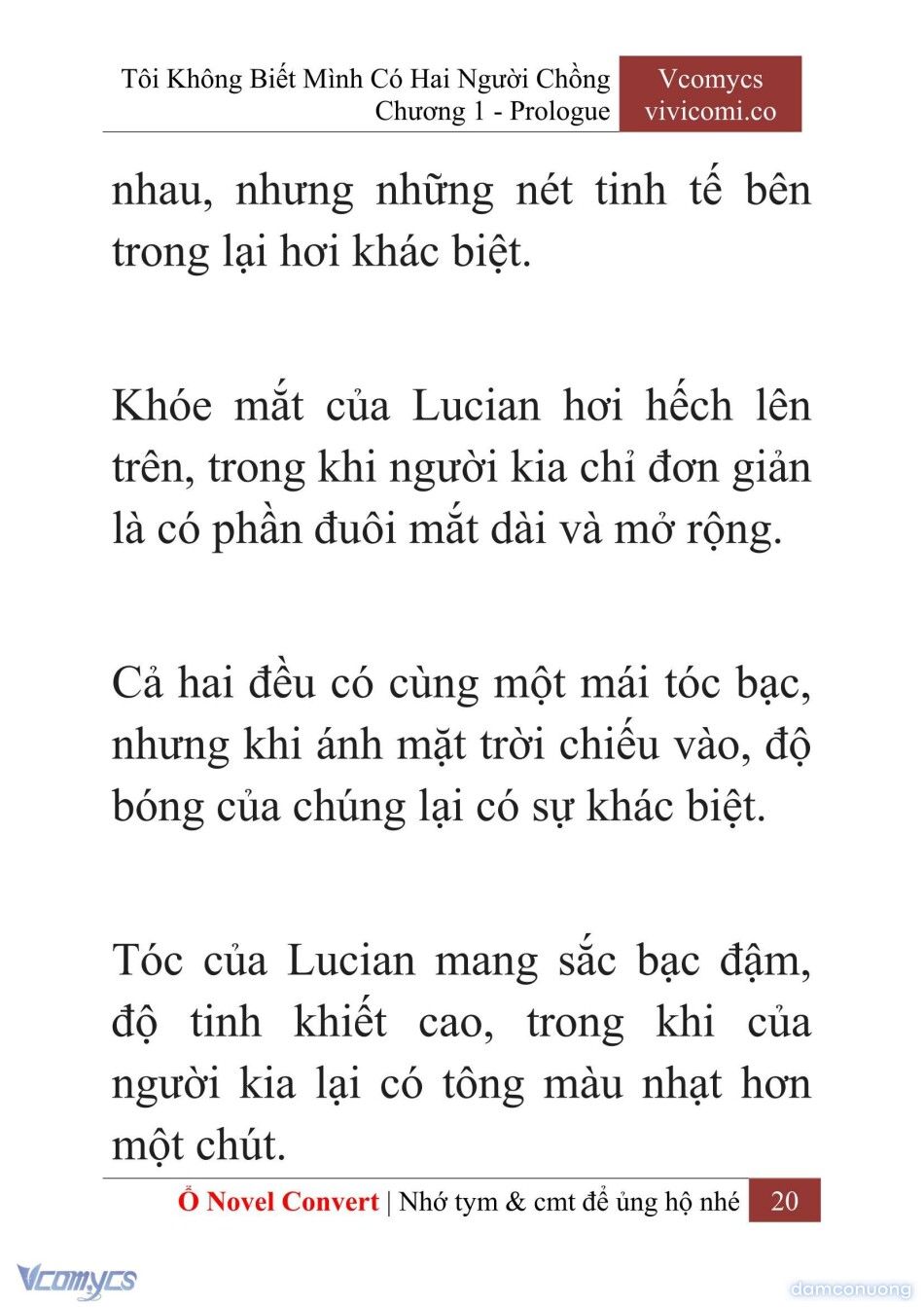 đọc truyện [novel] Tôi Không Biết Mình Có Hai Người Chồng Chương 1 ảnh 23 tại Thiên Thai Truyện