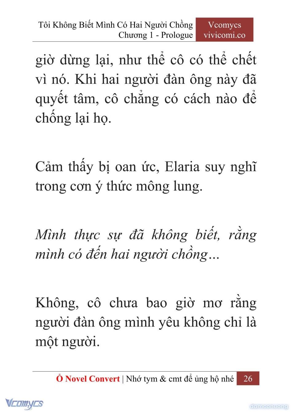 đọc truyện [novel] Tôi Không Biết Mình Có Hai Người Chồng Chương 1 ảnh 29 tại Thiên Thai Truyện