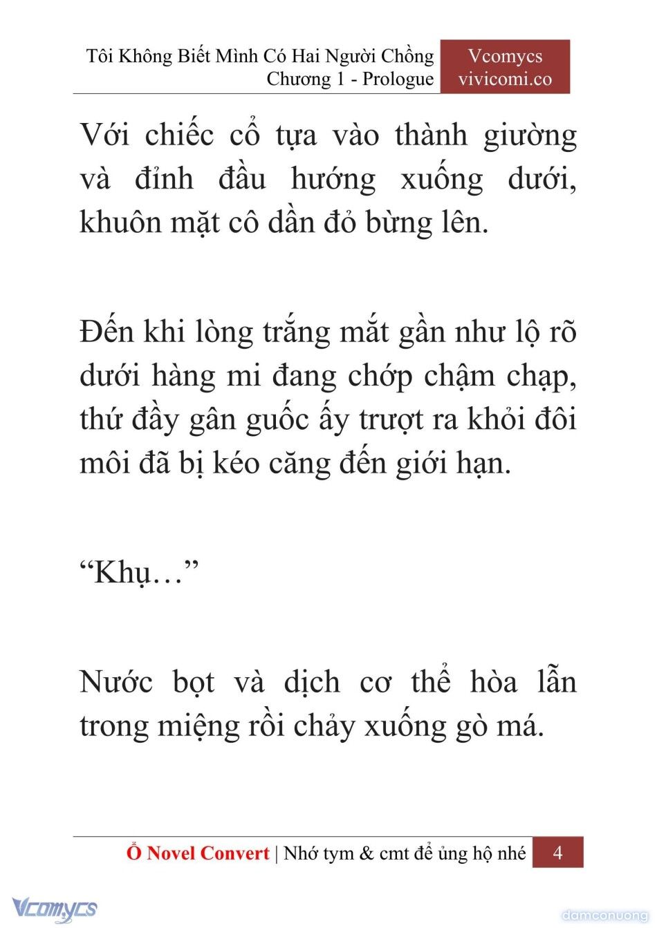 đọc truyện [novel] Tôi Không Biết Mình Có Hai Người Chồng Chương 1 ảnh 7 tại Thiên Thai Truyện