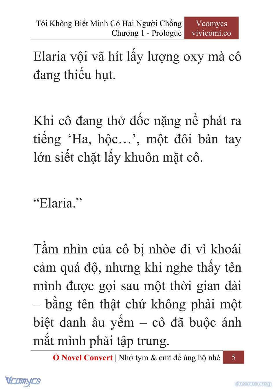 đọc truyện [novel] Tôi Không Biết Mình Có Hai Người Chồng Chương 1 ảnh 8 tại Thiên Thai Truyện