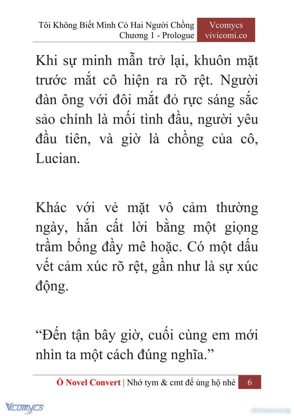 đọc truyện [novel] Tôi Không Biết Mình Có Hai Người Chồng Chương 1 ảnh 9 tại Thiên Thai Truyện