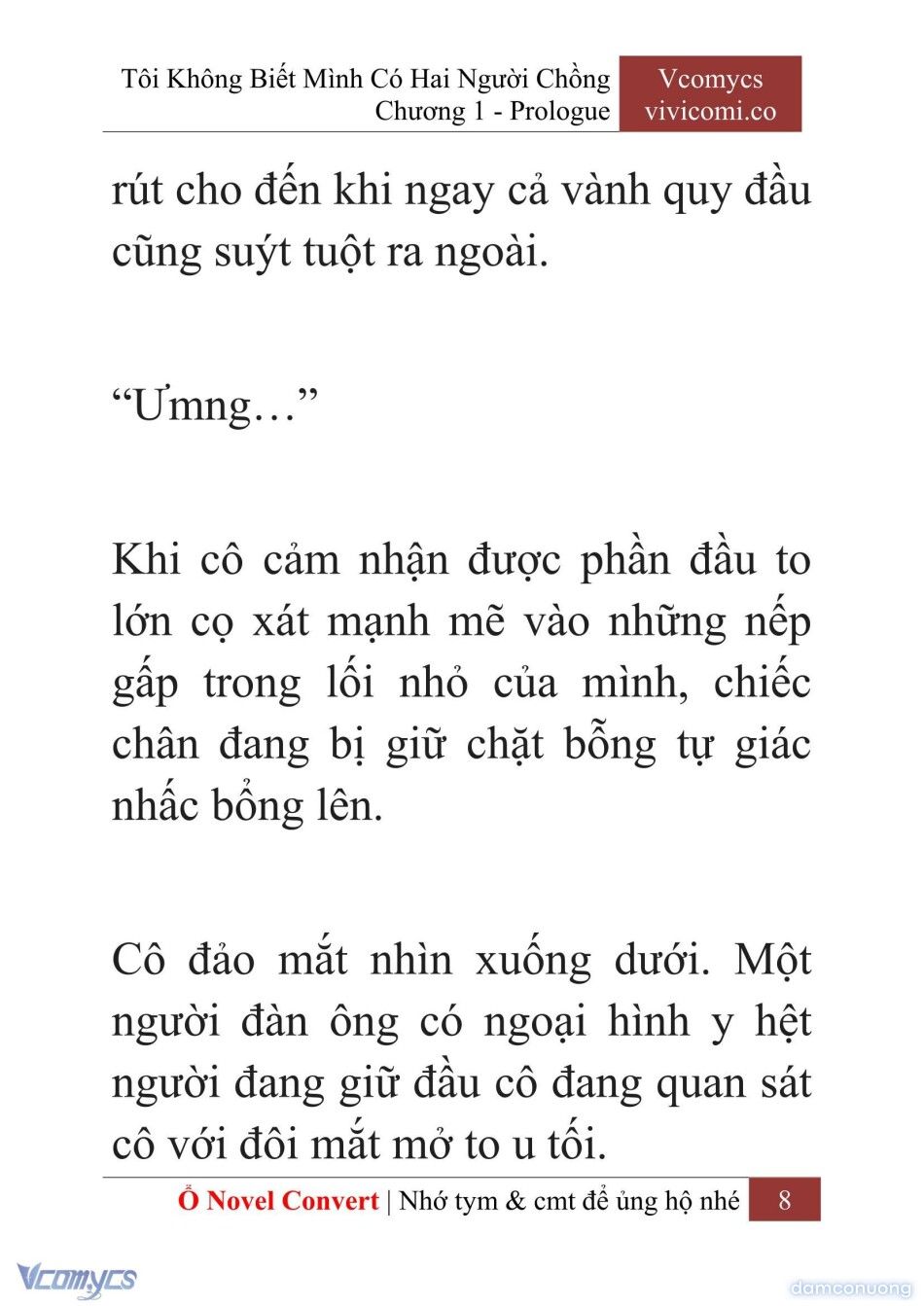 đọc truyện [novel] Tôi Không Biết Mình Có Hai Người Chồng Chương 1 ảnh 11 tại Thiên Thai Truyện