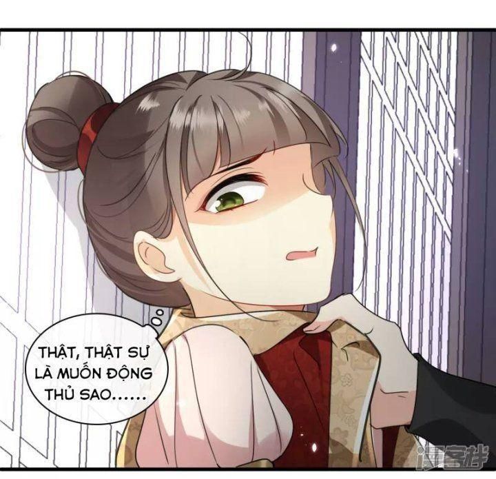 đọc truyện Nụ Cười Của Ngươi Ngọt Gãy Tám Cái Răng Của Ta Chương 5 ảnh 5 tại Thiên Thai Truyện