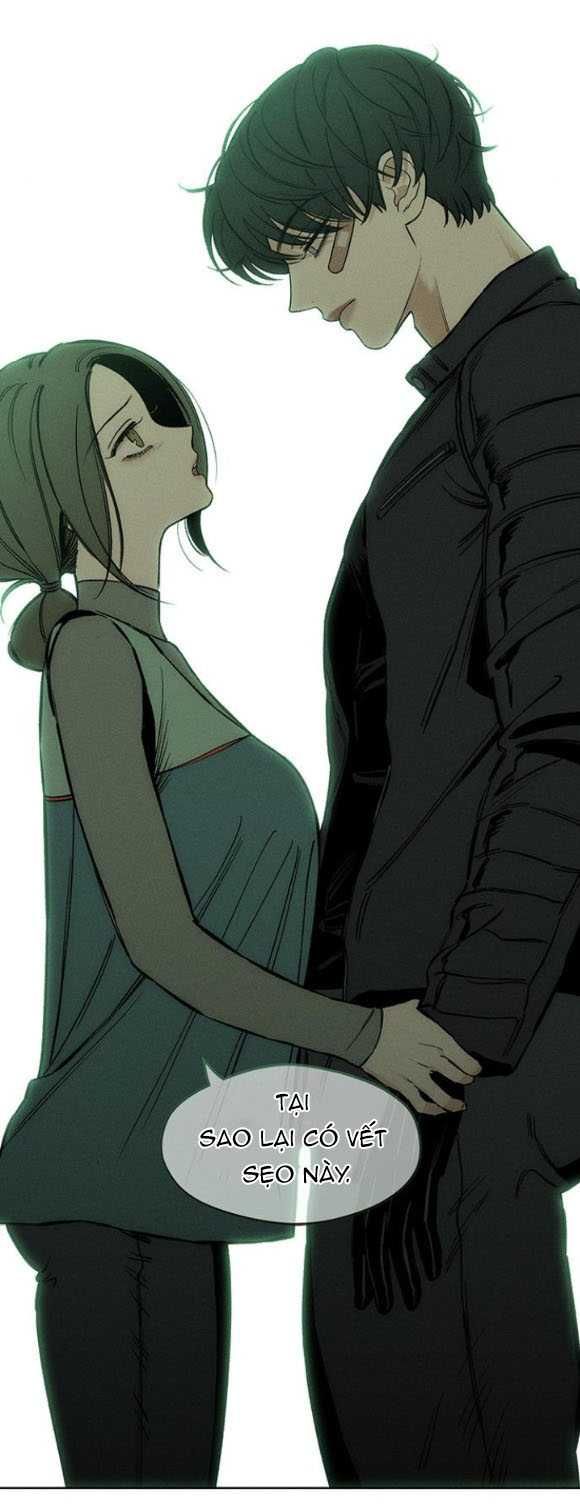 đọc truyện Nước Mắt Trên Đóa Hoa Tàn Chương 13 ảnh 15 tại Thiên Thai Truyện