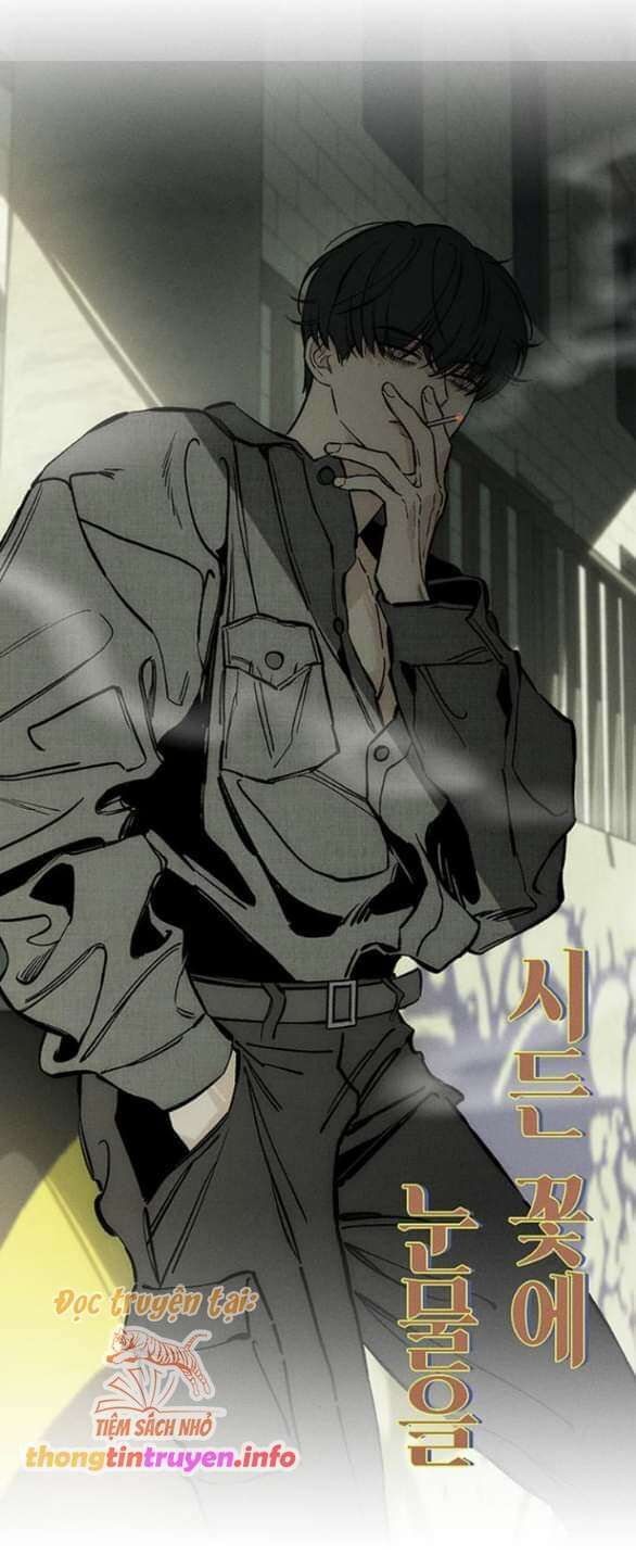 đọc truyện Nước Mắt Trên Đóa Hoa Tàn Chương 21 ảnh 84 tại Thiên Thai Truyện