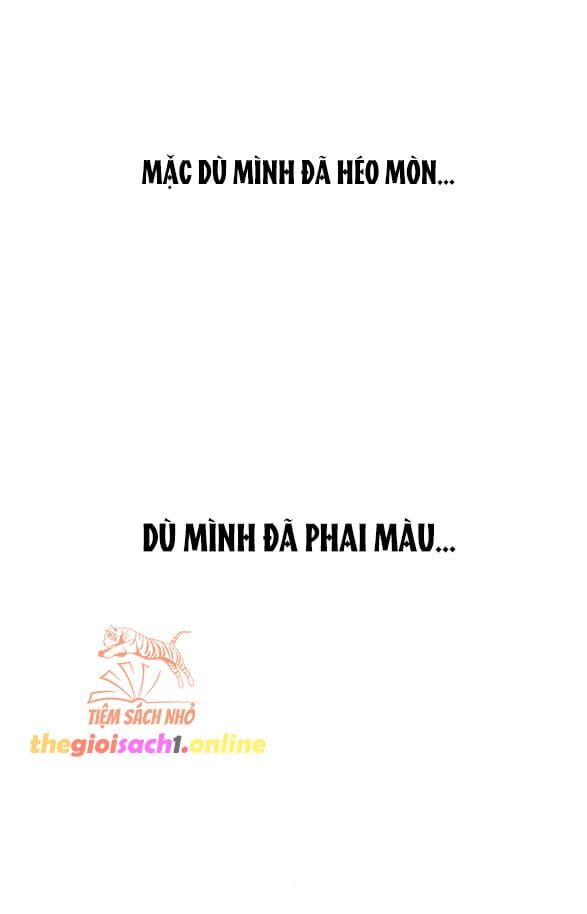 đọc truyện Nước Mắt Trên Đóa Hoa Tàn Chương 36 ảnh 19 tại Thiên Thai Truyện