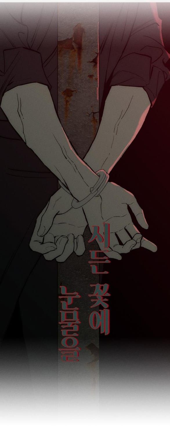 đọc truyện Nước Mắt Trên Đóa Hoa Tàn Chương 59 ảnh 4 tại Thiên Thai Truyện