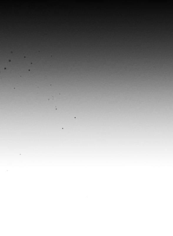 đọc truyện Nước Mắt Trên Đóa Hoa Tàn Chương 67 ảnh 31 tại Thiên Thai Truyện