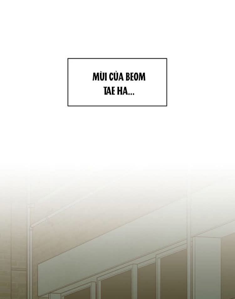 đọc truyện Nước Mắt Trên Đóa Hoa Tàn Chương 71 ảnh 23 tại Thiên Thai Truyện