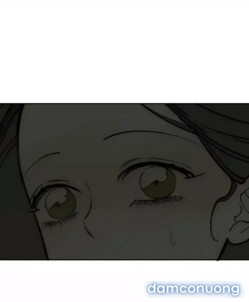 đọc truyện Nước Mắt Trên Đóa Hoa Tàn Chương 79 ảnh 20 tại Thiên Thai Truyện