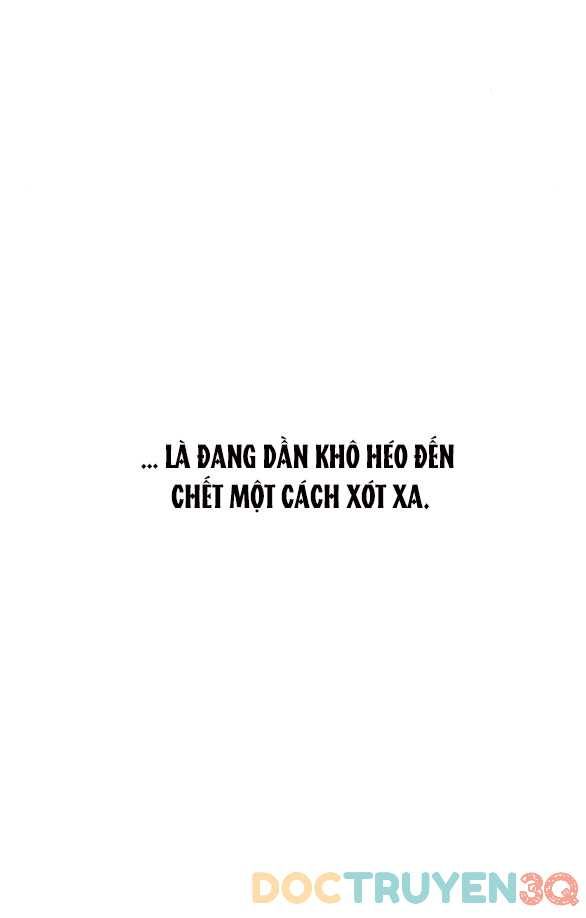 đọc truyện Nước Mắt Trên Đóa Hoa Tàn Chương 8 ảnh 28 tại Thiên Thai Truyện