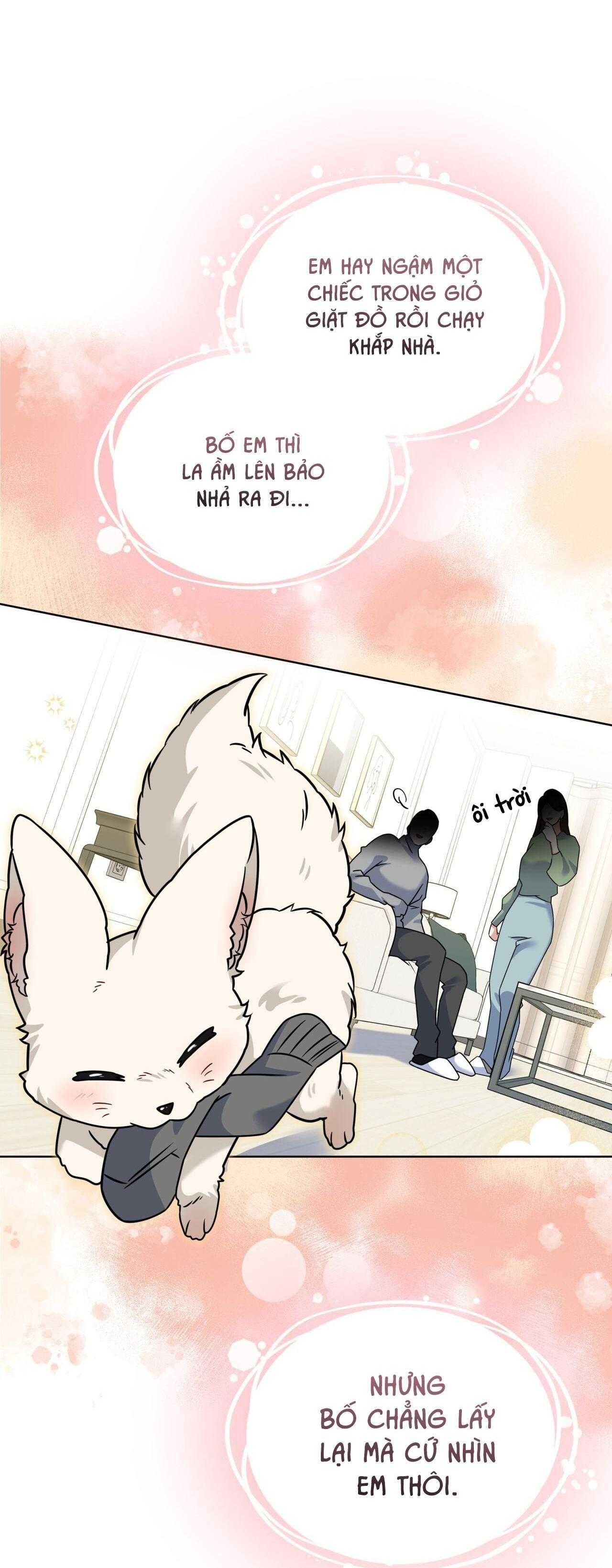 đọc truyện Nước Uống Tình Yêu Của Cáo Plin Chương 46 ảnh 30 tại Thiên Thai Truyện