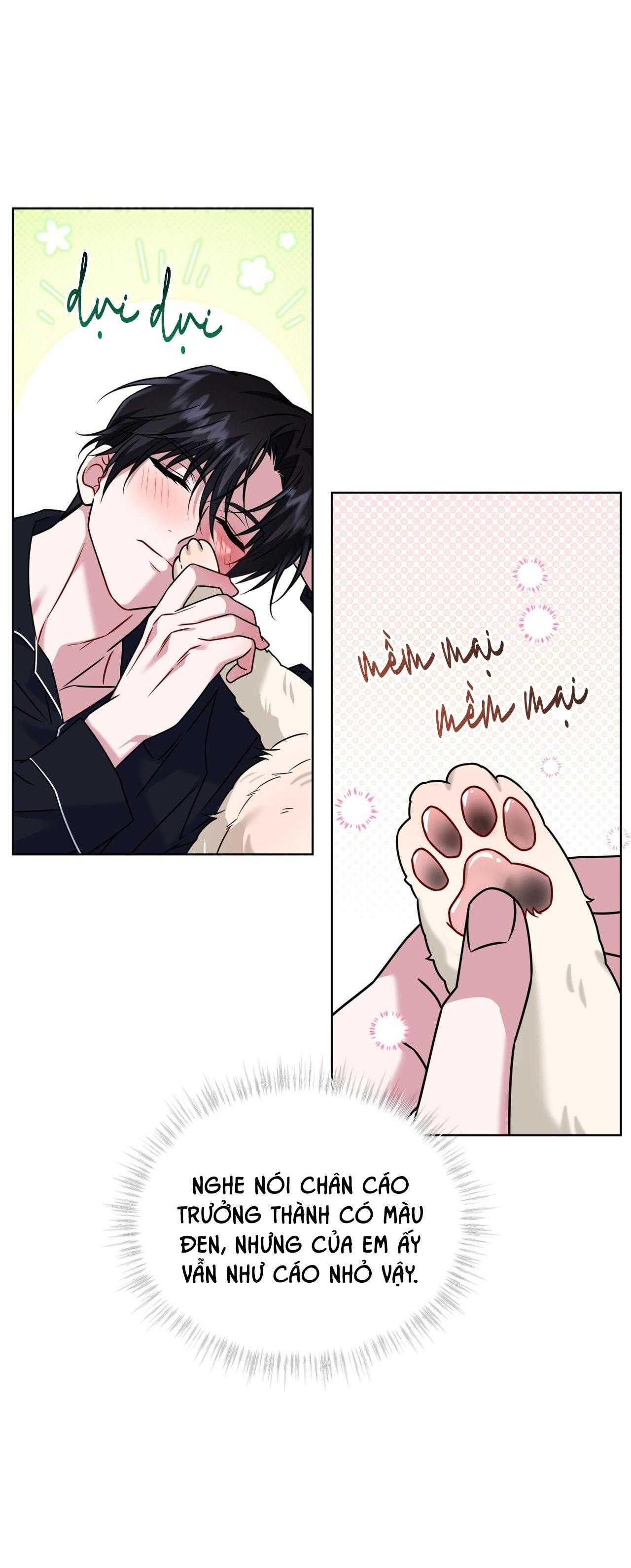 đọc truyện Nước Uống Tình Yêu Của Cáo Plin Chương 46 ảnh 40 tại Thiên Thai Truyện