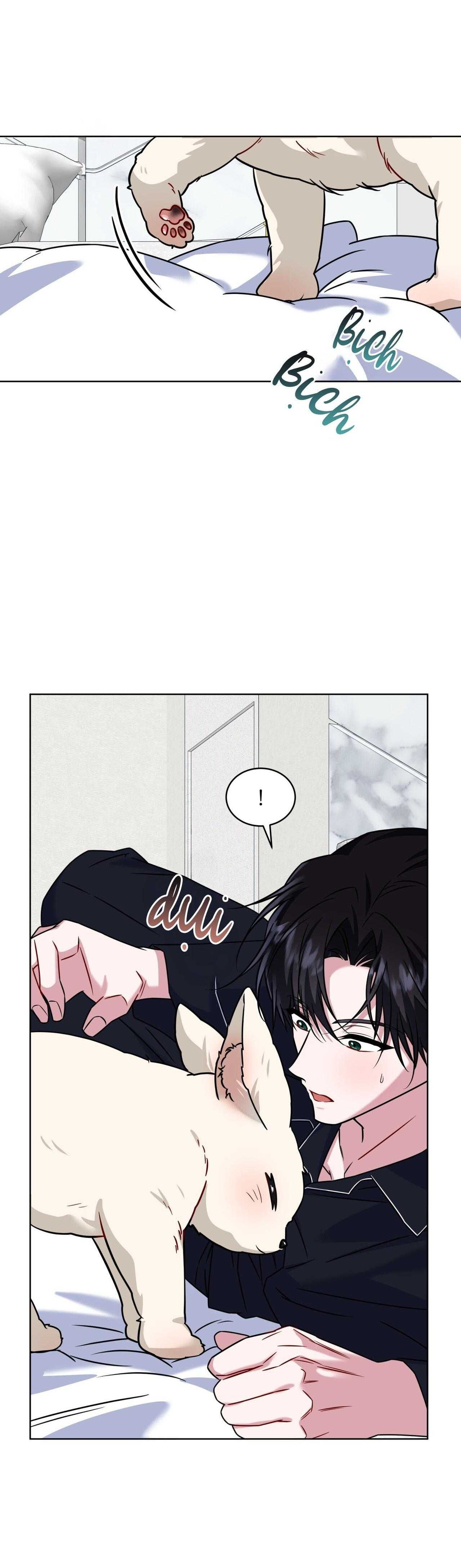 đọc truyện Nước Uống Tình Yêu Của Cáo Plin Chương 46 ảnh 43 tại Thiên Thai Truyện