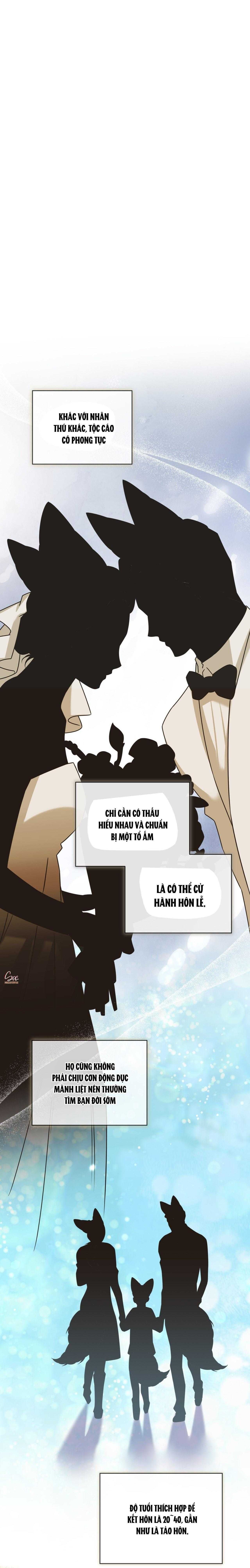 đọc truyện Nước Uống Tình Yêu Của Cáo Plin Chương 47 ảnh 16 tại Thiên Thai Truyện