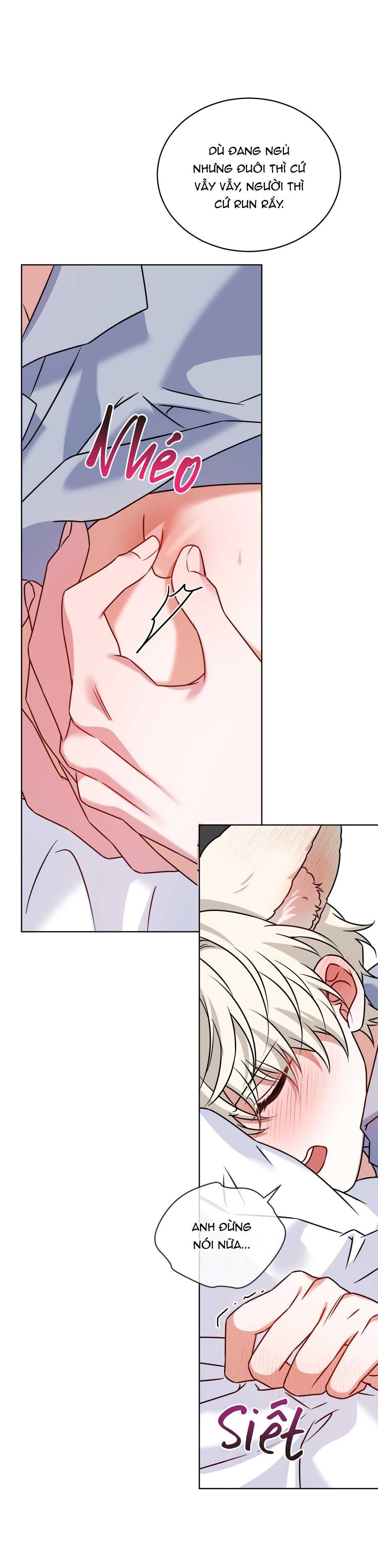 đọc truyện Nước Uống Tình Yêu Của Cáo Plin Chương 49 ảnh 4 tại Thiên Thai Truyện