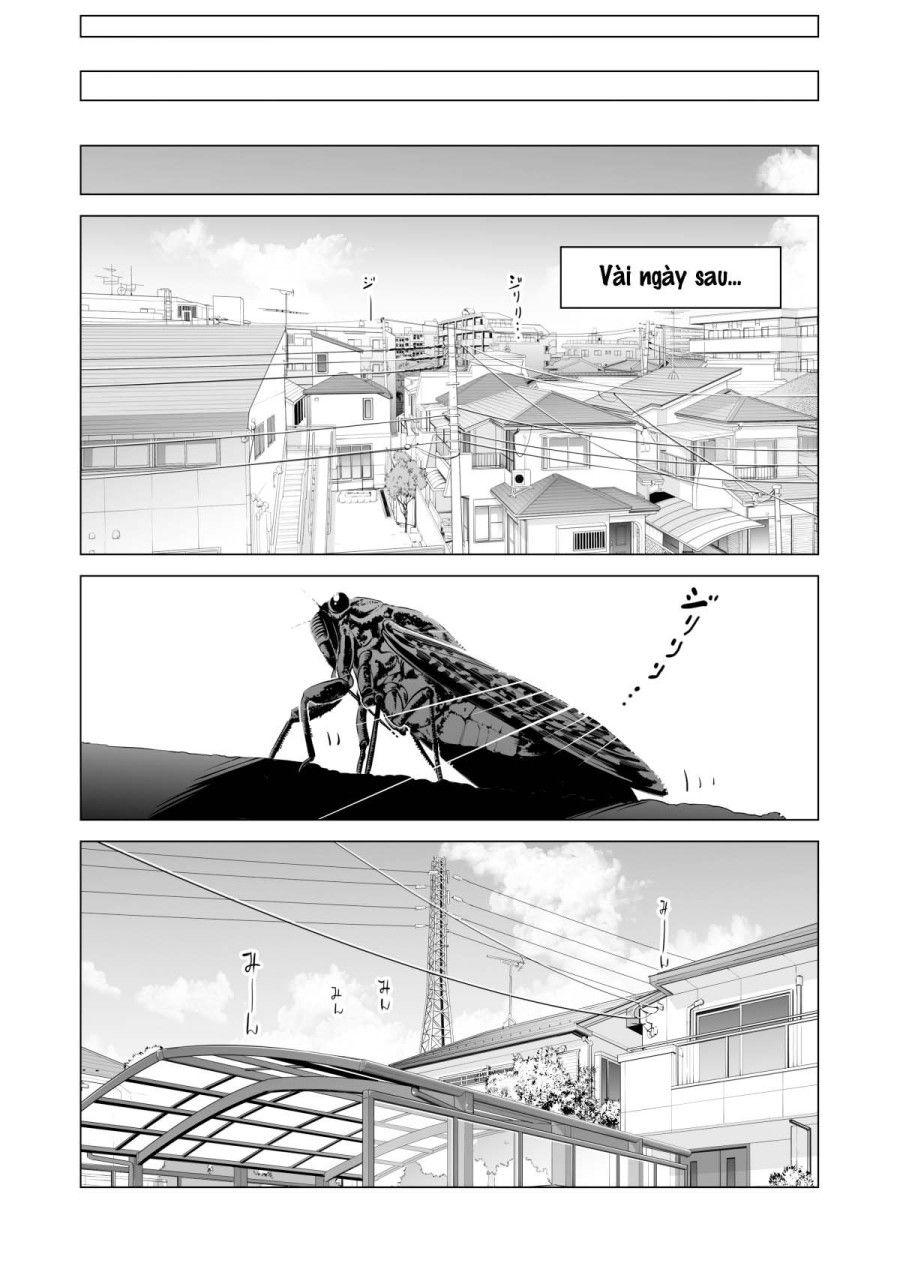 Nureane - Đêm Hè, Làm Tình Cùng Chị Gái Đã Ly Dị Chương 1 page 13 - Giả Dược