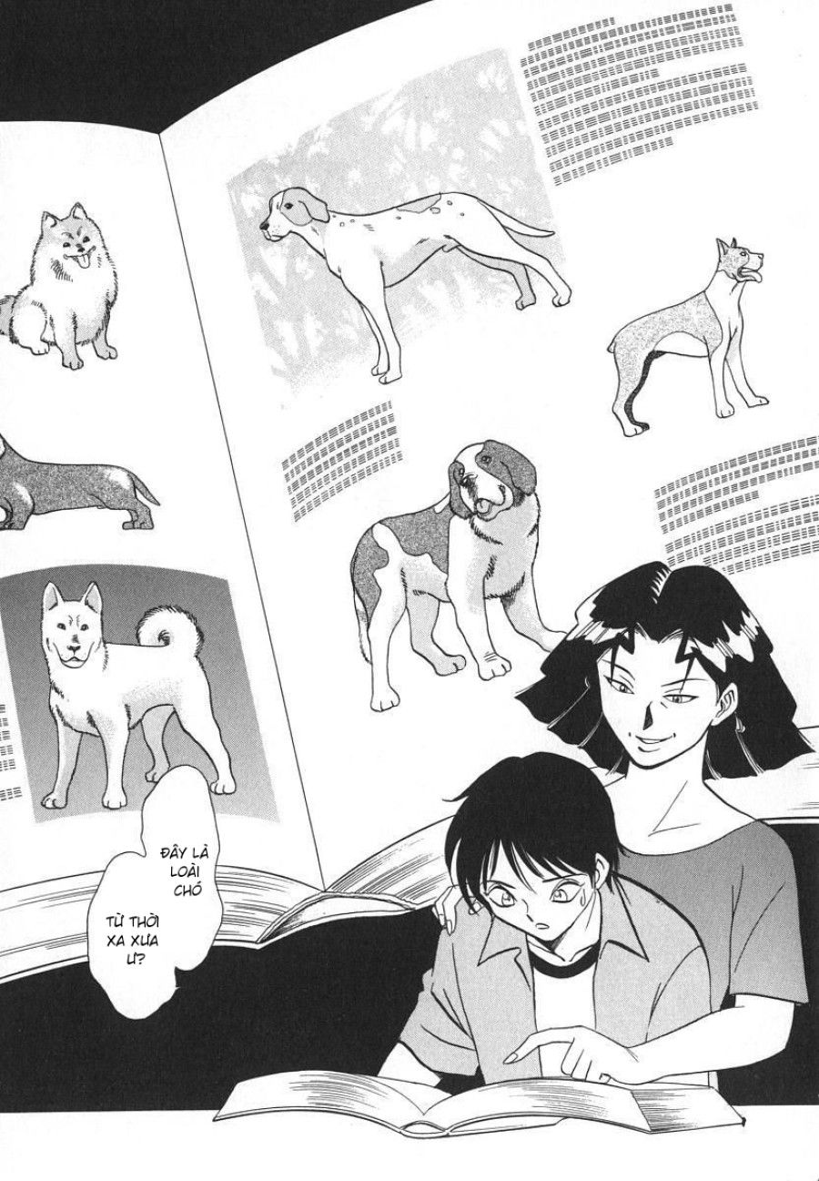 Ồ! Con Chó Của Tôi Chương 5 page 4 - Giả Dược
