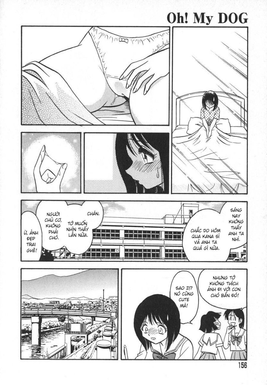 Ồ! Con Chó Của Tôi Chương 8 page 18 - Giả Dược