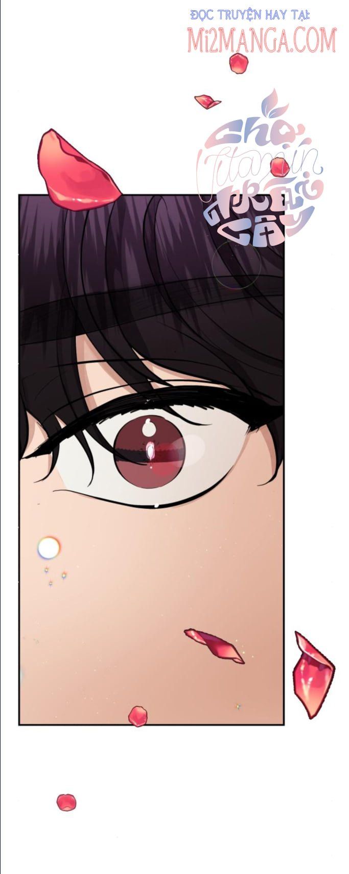 đọc truyện Oan Gia Ngõ Hẹp Chương 58.5 ảnh 9 tại Thiên Thai Truyện