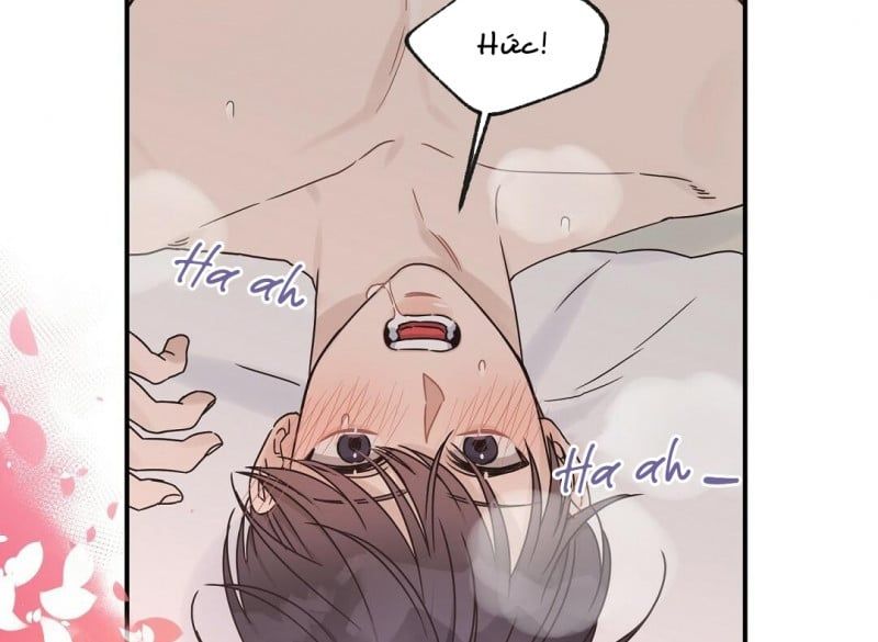 đọc truyện Omega Complex Chương 20 ảnh 7 tại Thiên Thai Truyện