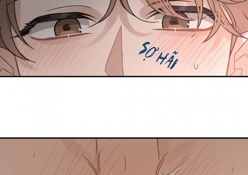 đọc truyện Omega Complex Chương 20 ảnh 65 tại Thiên Thai Truyện