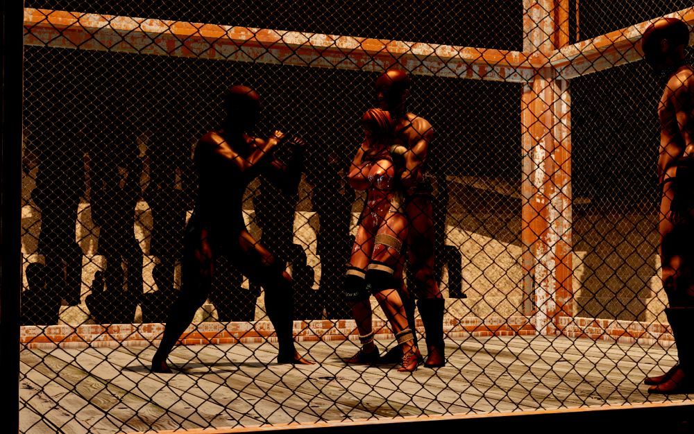 đọc truyện One Side Brutal Round Oneshot ảnh 5 tại Giả Dược
