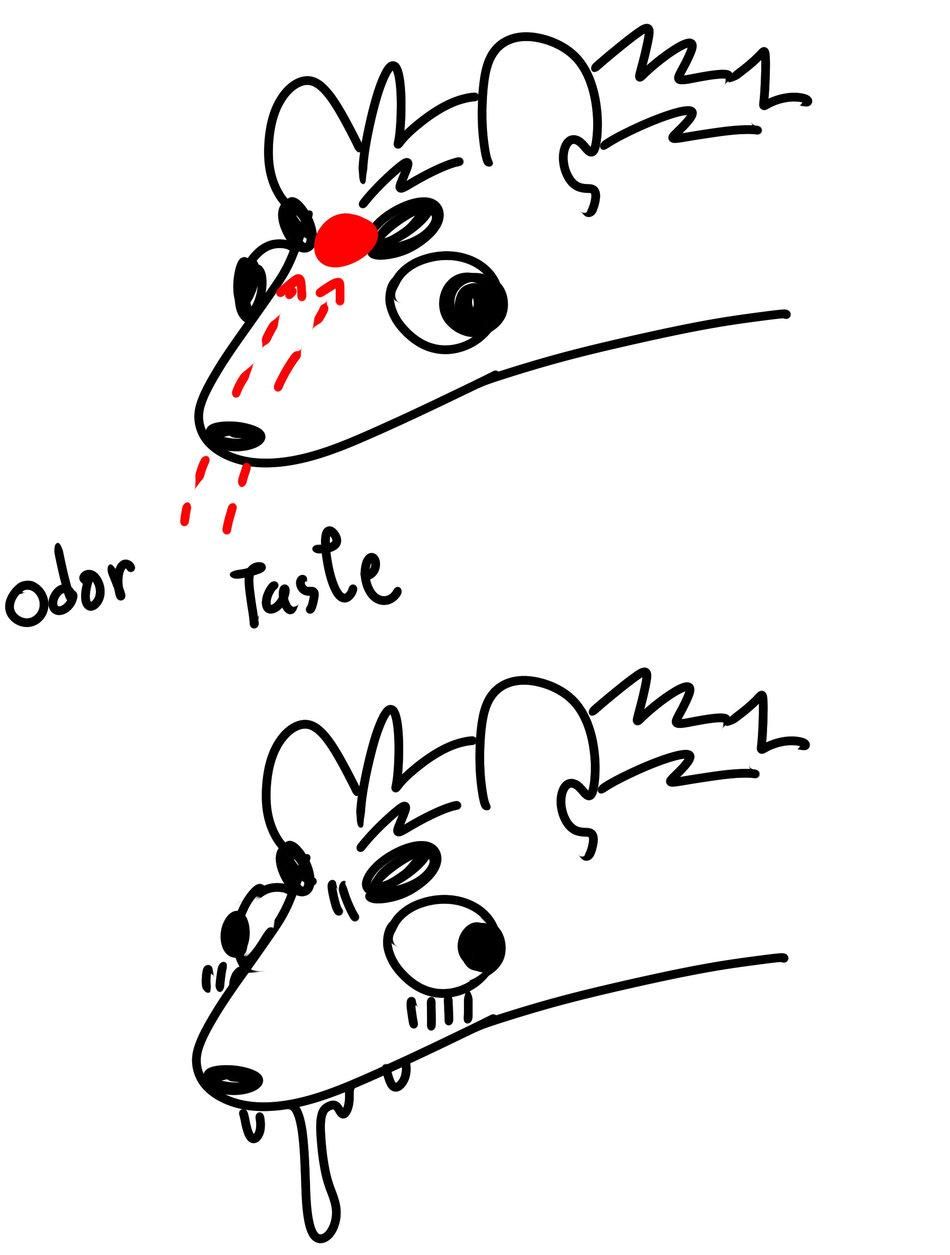 đọc truyện Oneshot Nhân Thú Mặn Mòi Chương 22 ảnh 35 tại Thiên Thai Truyện