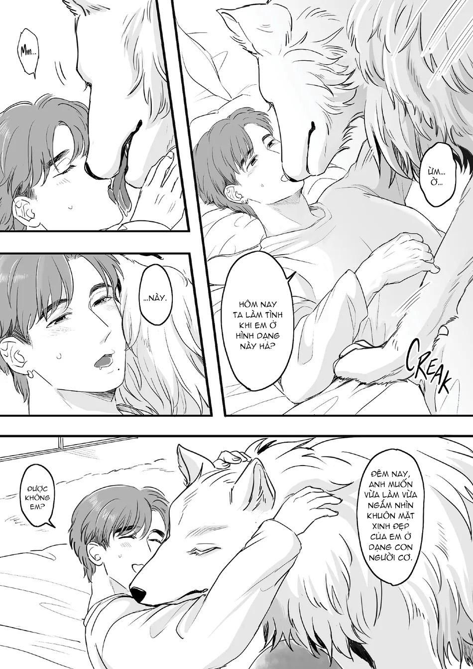 đọc truyện Oneshot Vicera Comics House Chương 133 ảnh 9 tại Giả Dược