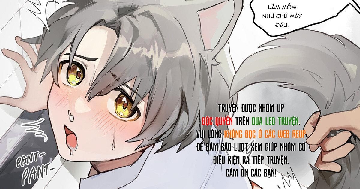đọc truyện Oneshot Vicera Comics House Chương 32 ảnh 1 tại Giả Dược